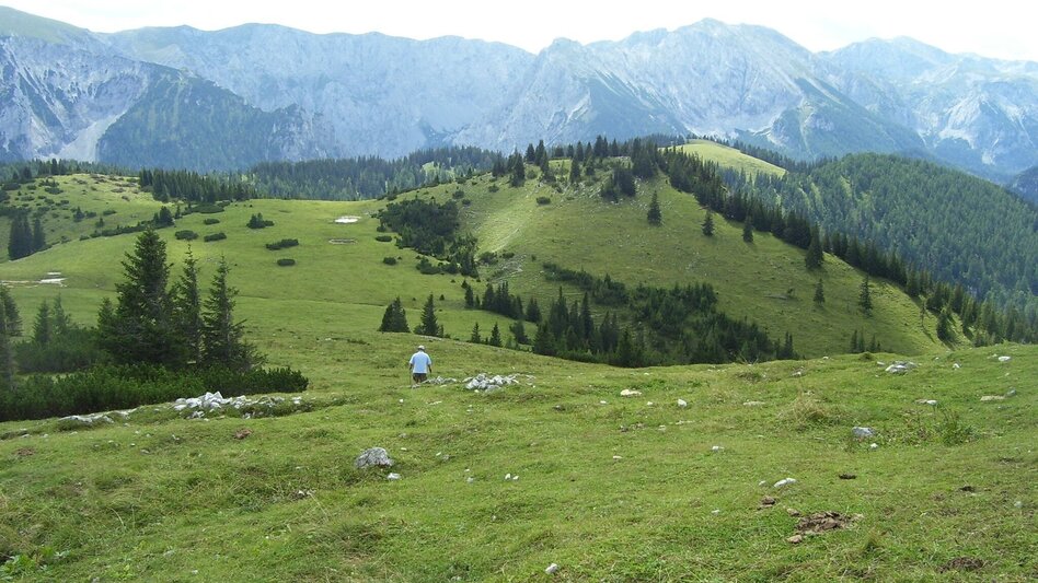 Wanderung Zeller Staritzen - Rundtour - Touren-Impression #2.7 | © TV Hochsteiermark