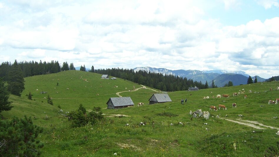 Wanderung Zeller Staritzen - Rundtour - Touren-Impression #2.9 | © TV Hochsteiermark