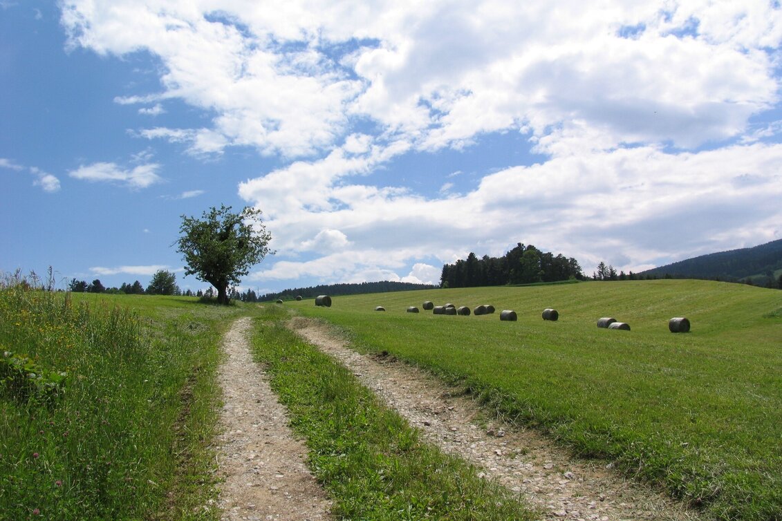 Wanderung Herlwirtweg - Touren-Impression #1