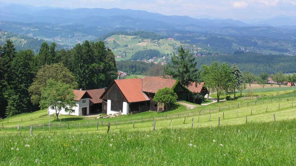 Wanderung Herlwirtweg - Touren-Impression #2.3