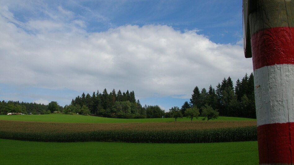 Wanderung Ligister Rundweg lang - Touren-Impression #2.2 | © agentur.smac
