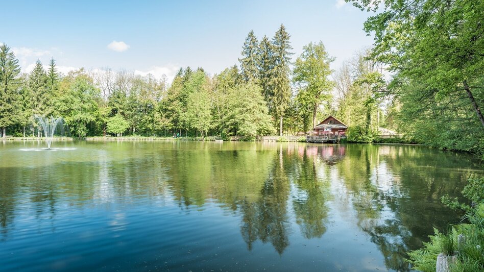 Wanderung Voitsberger Gesundheitsweg 2 - Touren-Impression #2.6 | © Stadtgemeinde Voitsberg