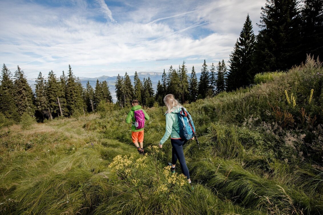 Pilgerweg Auf den Spuren Peter Roseggers - Am Mariazellerweg zum Geburtshaus - Touren-Impression #1 | © TV Hochsteiermark