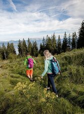 Wanderung Richtung Stanglalm | © TV Hochsteiermark | nicoleseiser.at | © TV Hochsteiermark