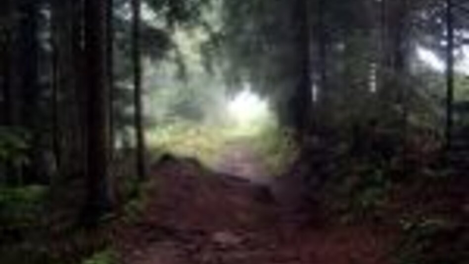 Wanderung 5. Etappe: Jakobsweg Weststeiermark - Touren-Impression #2.5 | © Region Graz