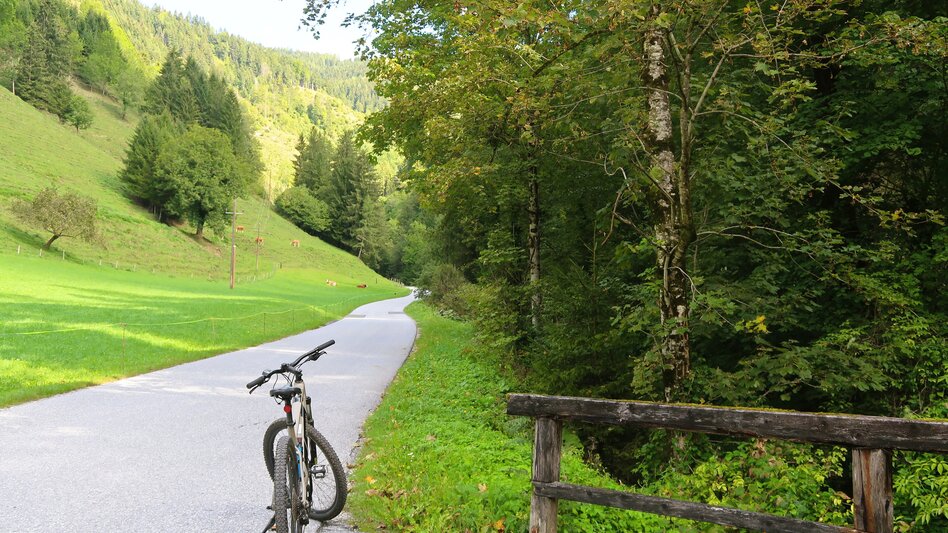 Cycling Lipizzaner Tour 747 - Touren-Impression #2.2 | © Region Graz