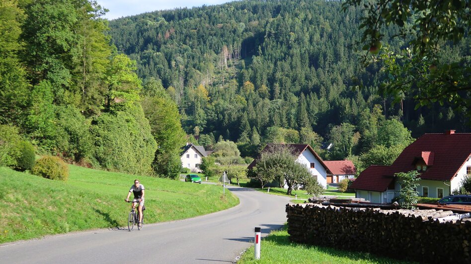 Cycling Lipizzaner Tour 747 - Touren-Impression #2.10 | © Region Graz