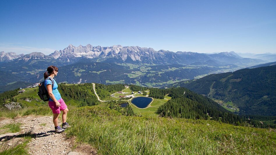 Hiking Route Reiteralm Alpine Loop - Touren-Impression #2.2 | © Tourismusverband Schladming - Andy Kocher