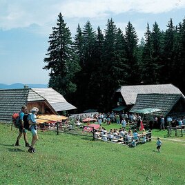 Kaarl Hütte | © TV Hochsteiermark