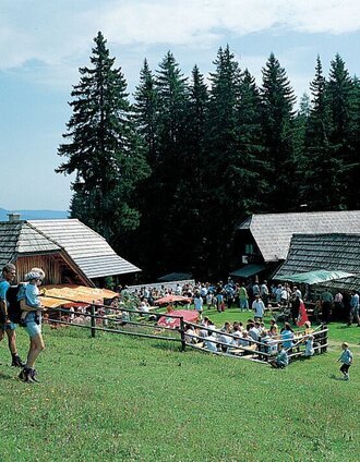 Kaarl Hütte | Heinz Veitschegger | © TV Hochsteiermark