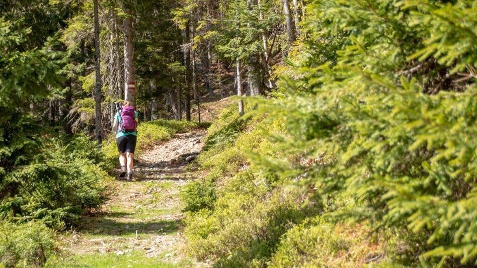 Wanderung Von Johnsbach zur Mödlingerhütte zum Heldenkreuz - Touren-Impression #2.3 | © TV Gesäuse