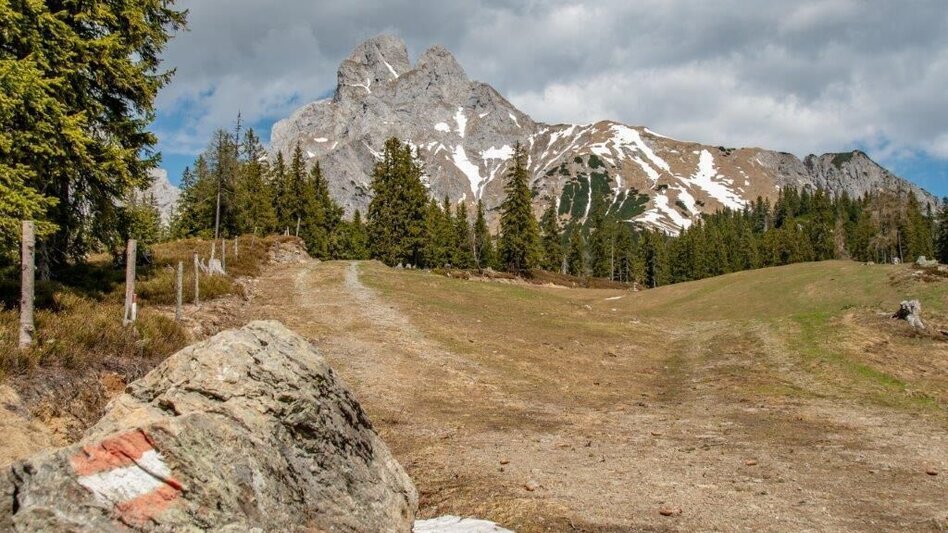 Wanderung Von Johnsbach zur Mödlingerhütte zum Heldenkreuz - Touren-Impression #2.7 | © TV Gesäuse