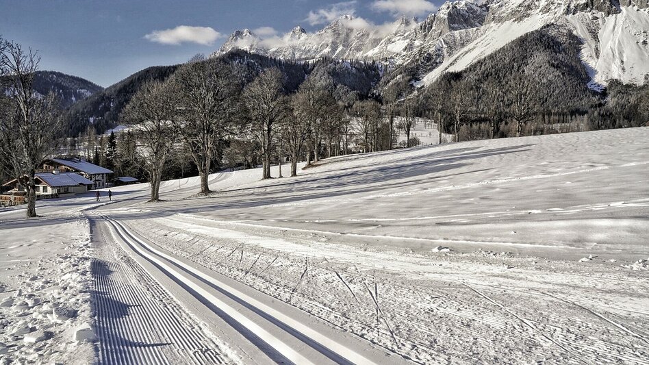 Ski-Nordic Skating Herold-Schildlehen - Touren-Impression #2.4 | © Erlebnisregion Schladming-Dachstein