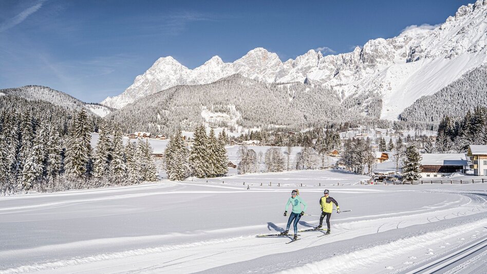Ski-Nordic Skating Kulmberg Forest Trail - Touren-Impression #2.2 | © Erlebnisregion Schladming-Dachstein