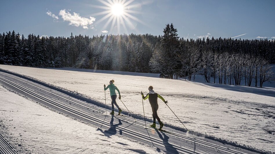 Ski-Nordic Skating Kulmberg Forest Trail - Touren-Impression #2.1 | © Erlebnisregion Schladming-Dachstein