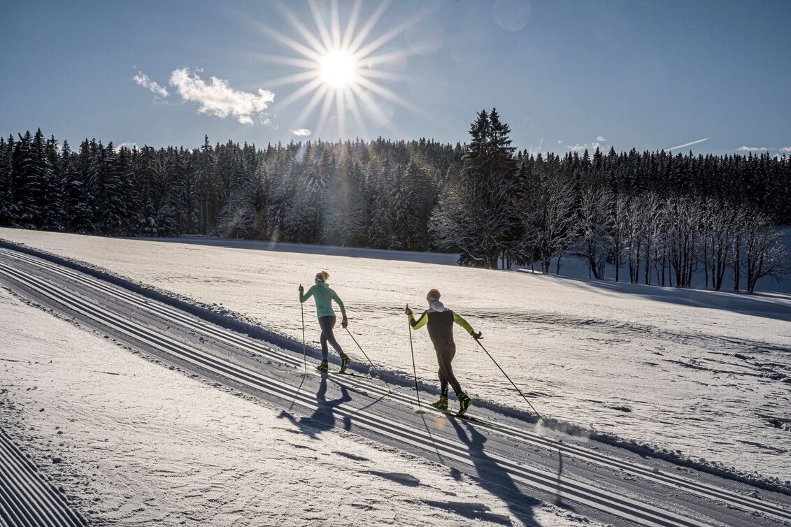 Ski-Nordic Skating Kulmberg Forest Trail - Touren-Impression #1 | © Erlebnisregion Schladming-Dachstein