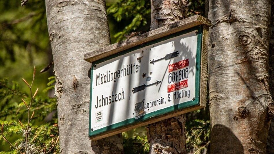 Wanderung Mödlingerhütte Normalweg - Touren-Impression #2.5 | © TV Gesäuse
