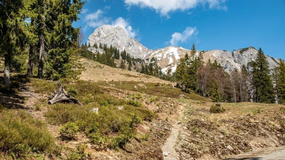 Wanderung Mödlingerhütte Normalweg - Touren-Impression #2.6 | © TV Gesäuse