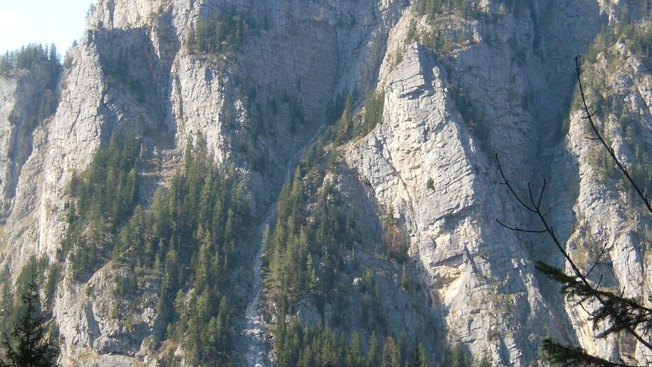 Wanderung Durch den Gofergraben - Touren-Impression #2.1 | © TV Gesäuse