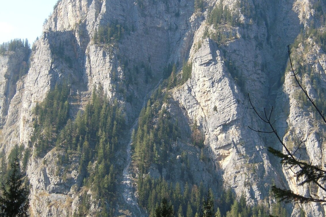 Wanderung Durch den Gofergraben - Touren-Impression #1 | © TV Gesäuse