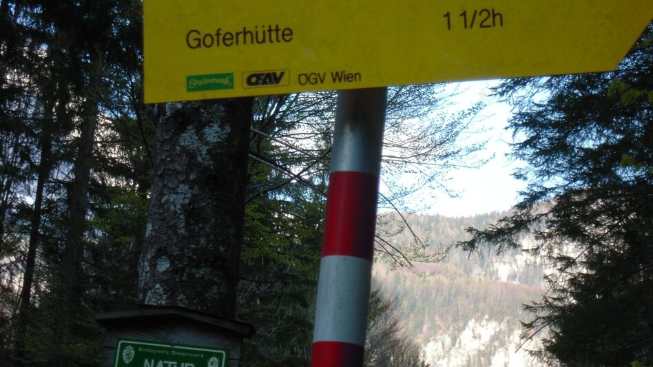 Wanderung Durch den Gofergraben - Touren-Impression #2.7 | © TV Gesäuse