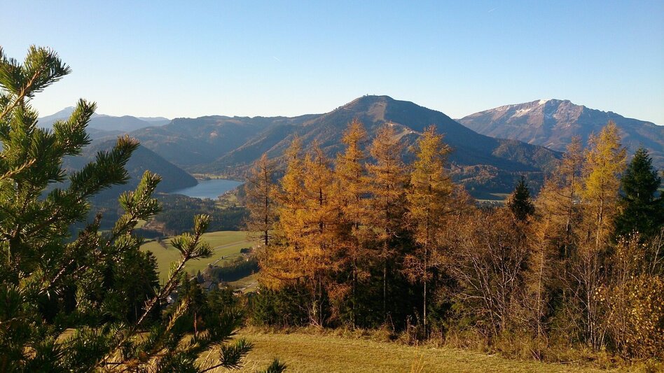 Wanderung Rund um die Mariazeller Bürgeralpe (694 und 692) - Touren-Impression #2.1 | © TV Hochsteiermark
