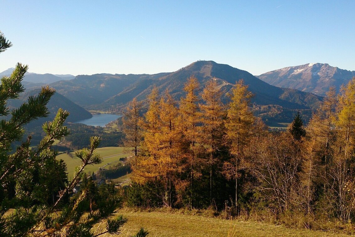 Wanderung Rund um die Mariazeller Bürgeralpe (694 und 692) - Touren-Impression #1 | © TV Hochsteiermark