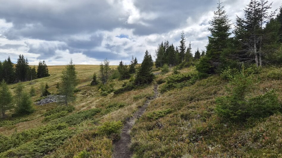 Wanderung Vom Salzstiegl nach Hirschegg (Speikkogel / Bernsteinhütte) - Touren-Impression #2.10