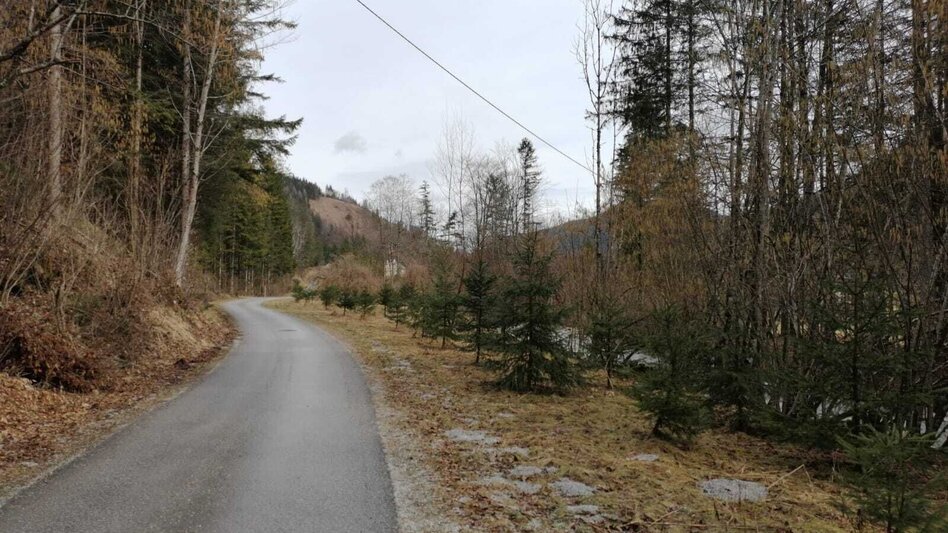 Wanderung Bodenweg  - Touren-Impression #2.5 | © TV Gesäuse