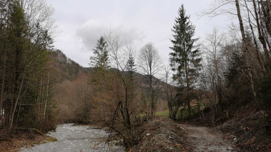 Wanderung Bodenweg  - Touren-Impression #2.7 | © TV Gesäuse