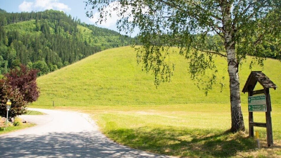 Mountainbike Buchsteinrunde Etappe 1 (St. Gallen - Palfau) - Touren-Impression #2.11 | © TV Gesäuse