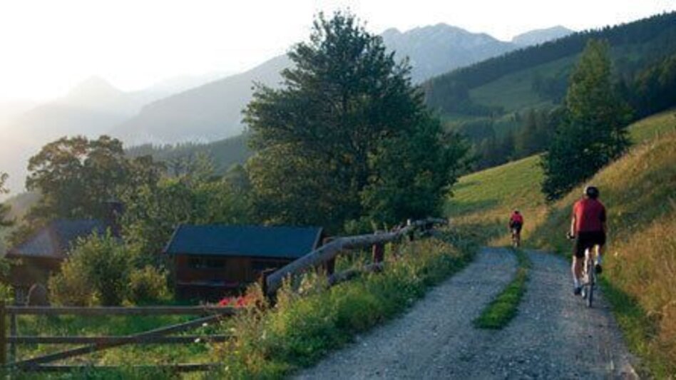 Mountain Biking Weidau Tour LN 8 - Touren-Impression #2.1 | © TV Hochsteiermark
