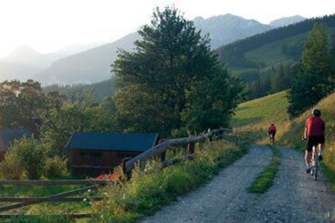 Mountain Biking Weidau Tour LN 8 - Touren-Impression #1 | © TV Hochsteiermark