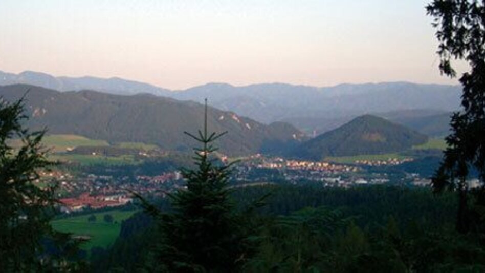 Mountain Biking Weidau Tour LN 8 - Touren-Impression #2.2 | © TV Hochsteiermark