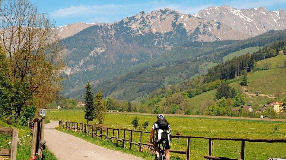 Mountain Biking Weidau Tour LN 8 - Touren-Impression #2.4 | © Tourismusverband ERZBERG LEOBEN