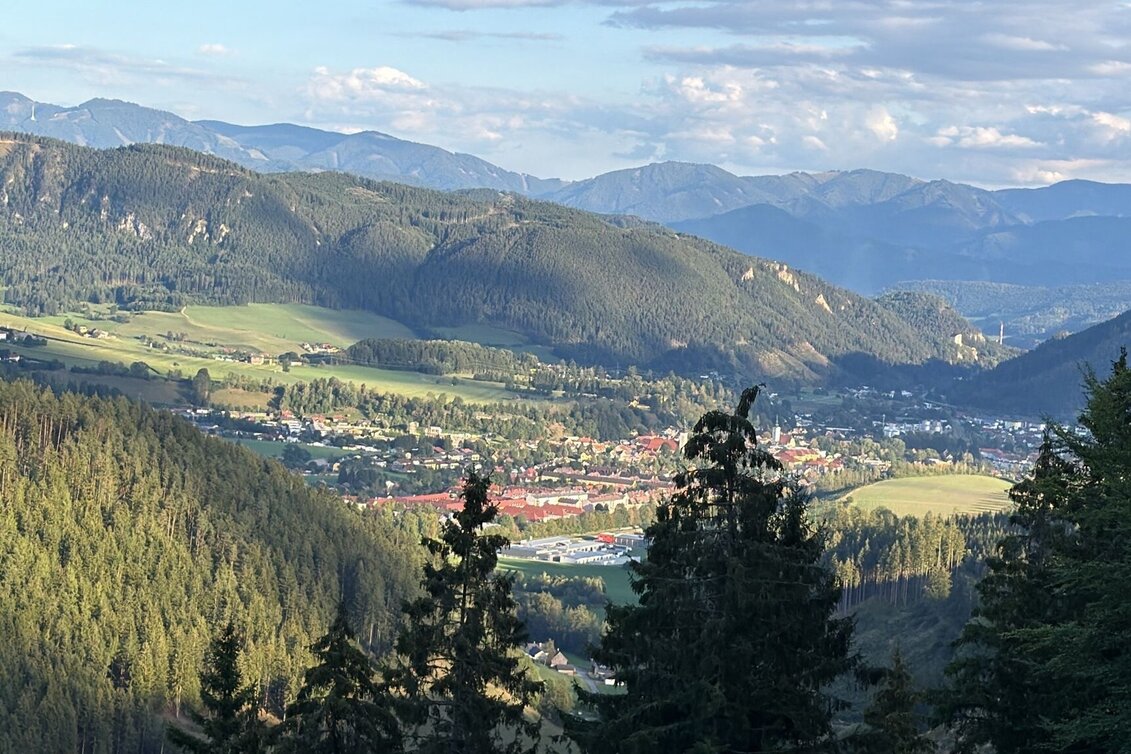 Mountain Biking Weidau Tour LN 8 - Touren-Impression #1 | © TVB Erzberg-Leoben