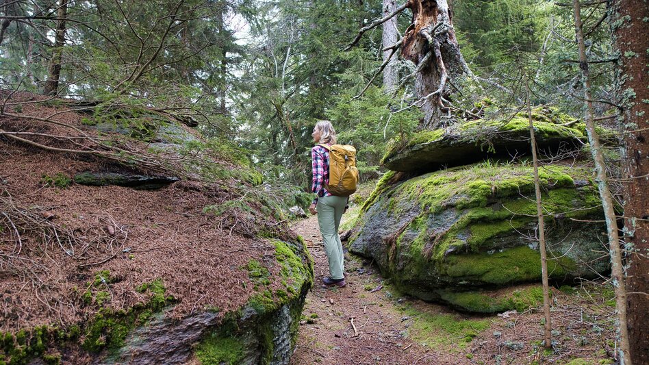 Wanderung Großofen Runde - Touren-Impression #2.4 | © Region Graz