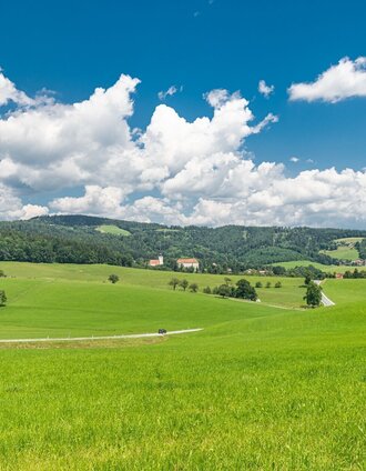 Piberer Hügellandschaft | Die Abbilderei | © Lipizzanerheimat