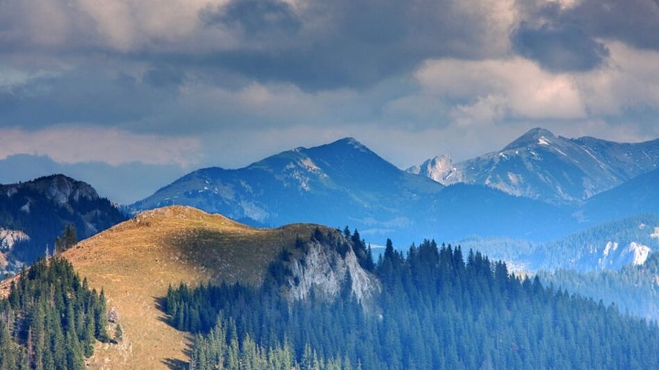 Wanderung Almenwanderung Tonion - Touren-Impression #2.5 | © TV Hochsteiermark