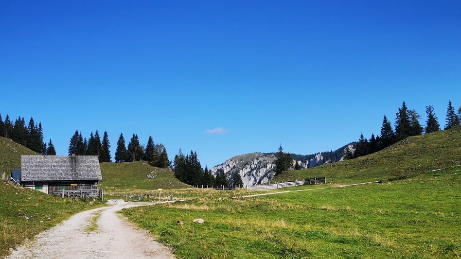 Wanderung Almenwanderung Tonion - Touren-Impression #2.6 | © TV Hochsteiermark
