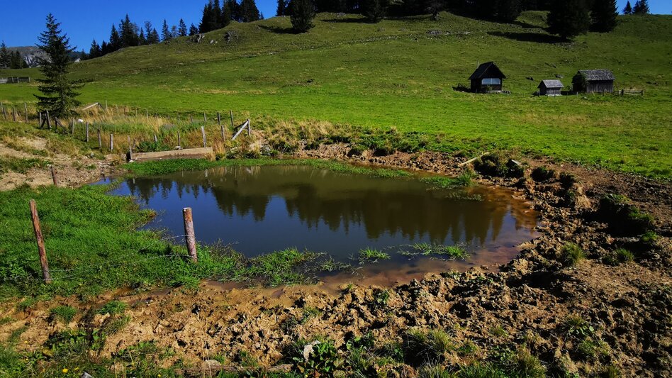 Wanderung Almenwanderung Tonion - Touren-Impression #2.7 | © TV Hochsteiermark