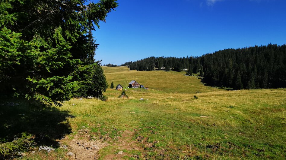 Wanderung Almenwanderung Tonion - Touren-Impression #2.8 | © TV Hochsteiermark