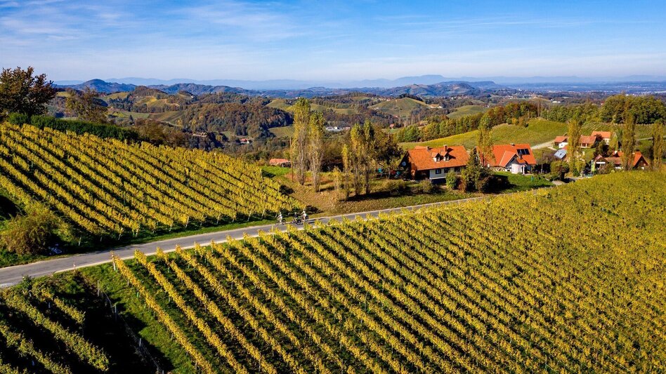 Cycling Cycling for pleasure - Wine Road Tour Variant 2 - "Ratsch" - Touren-Impression #2.2 | © TVB Südsteiermark / Steiermark Tourismus Tom Lamm