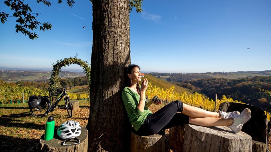 Cycling Cycling for pleasure - Wine Road Tour Variant 2 - "Ratsch" - Touren-Impression #2.3 | © TVB Südsteiermark / Steiermark Tourismus Tom Lamm