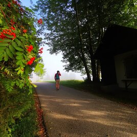 ... Richtung Erlaufsee auf dem Fleschweg... | © TV Hochsteiermark