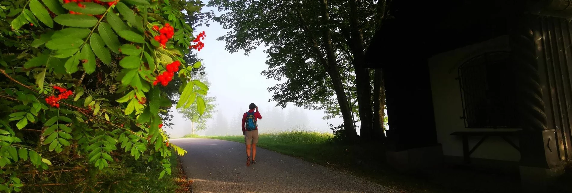 Hiking route Mariazell country round walk - Touren-Impression #1 | © TV Hochsteiermark