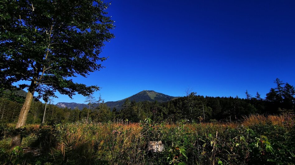 Hiking Route Mariazell country round walk - Touren-Impression #2.2 | © TV Hochsteiermark