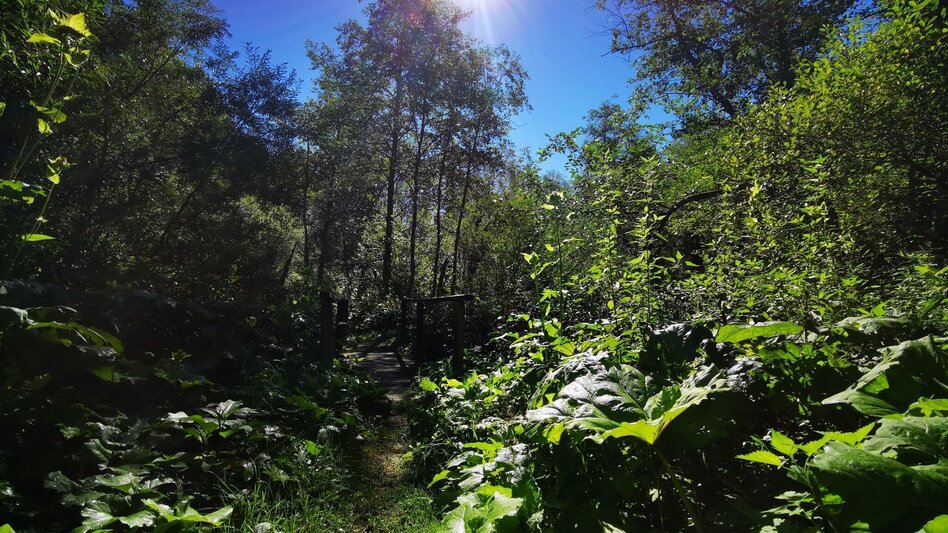 Hiking Route Mariazell country round walk - Touren-Impression #2.7 | © TV Hochsteiermark