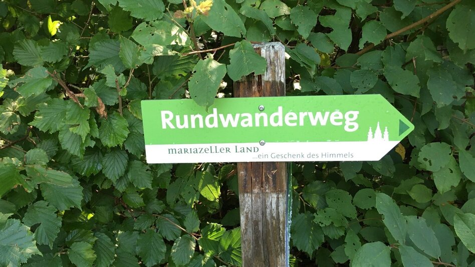 Hiking Route Mariazell country round walk - Touren-Impression #2.8 | © TV Hochsteiermark