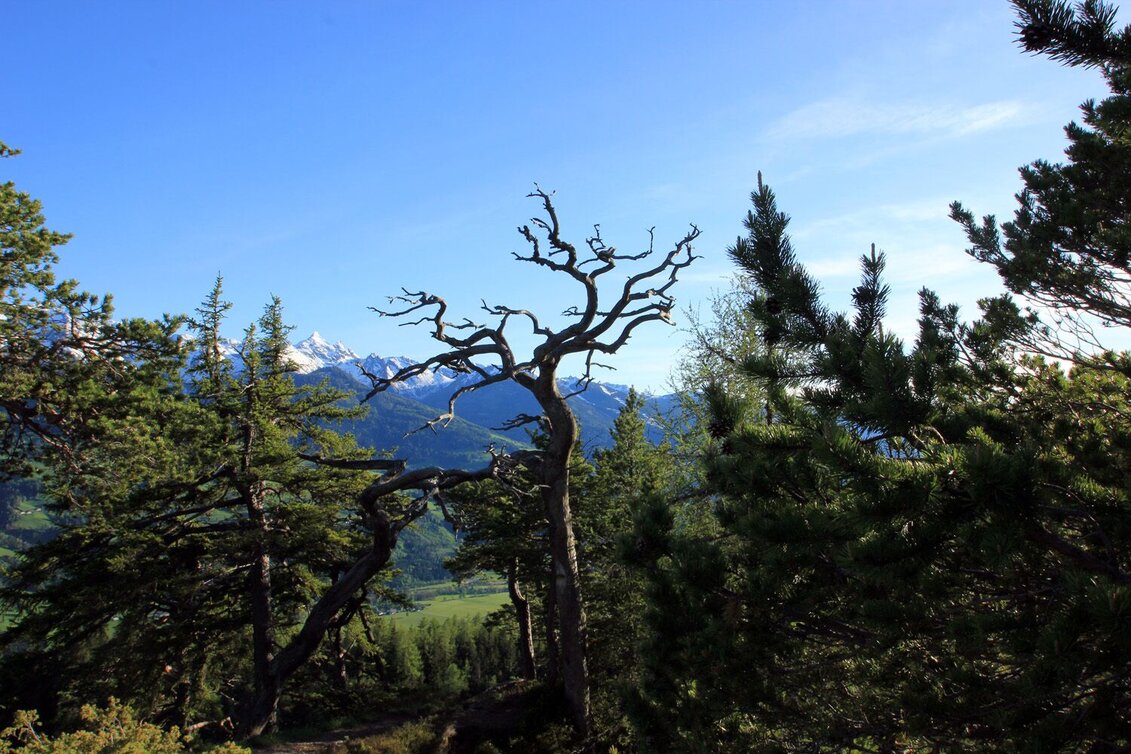 Bergtour Freienstein ab Assach - Touren-Impression #1 | © Erlebnisregion Schladming-Dachstein